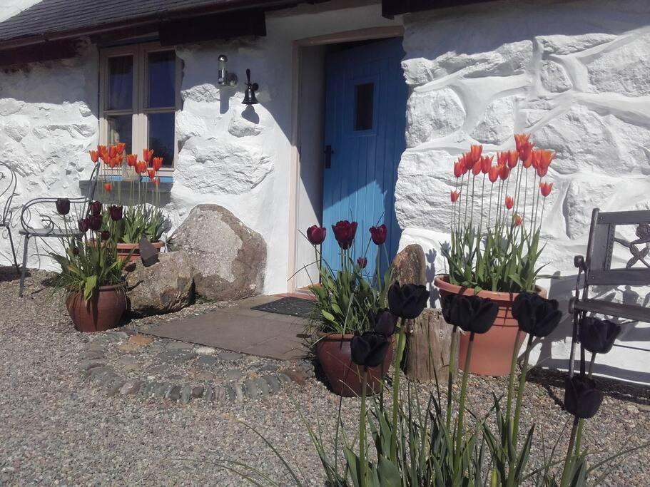 Traditional Stone Cottage With Sea Views In Snowdonia National Park Brynkir Eksteriør billede