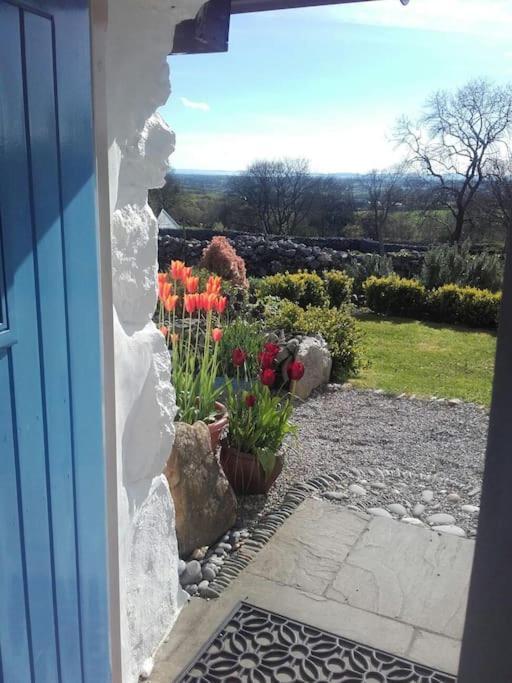 Traditional Stone Cottage With Sea Views In Snowdonia National Park Brynkir Eksteriør billede